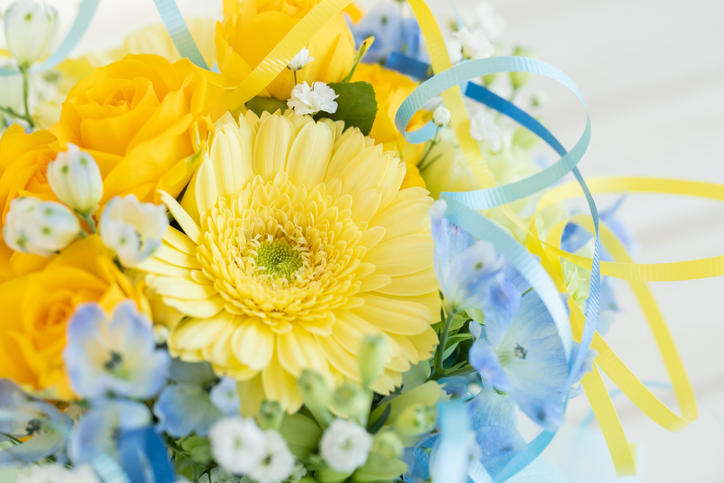 iStock-1378339321 (1).jpg