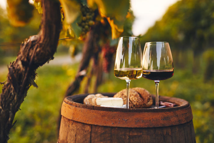 ブドウ畑の外の古い樽に白ワインと赤ワイン