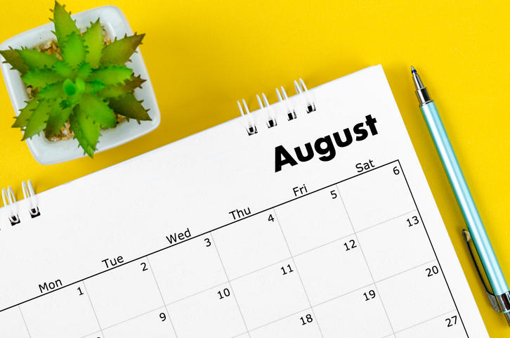 8月の卓上カレンダーとボールペン、傍らにミニ観賞植物が置かれている
