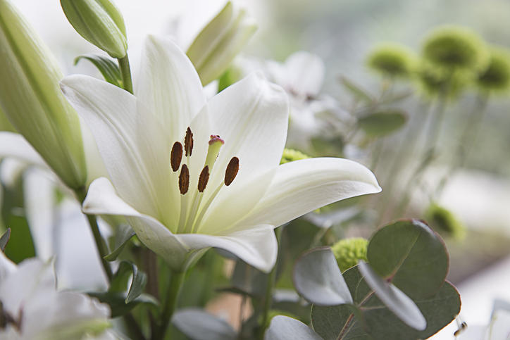 iStock-536772045.jpg