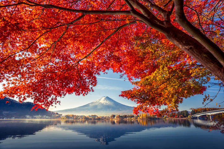 紅葉で色づいた木の下からのぞく富士山