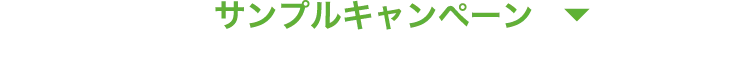 サンプルキャンペーン