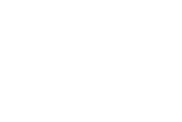 Fashionista