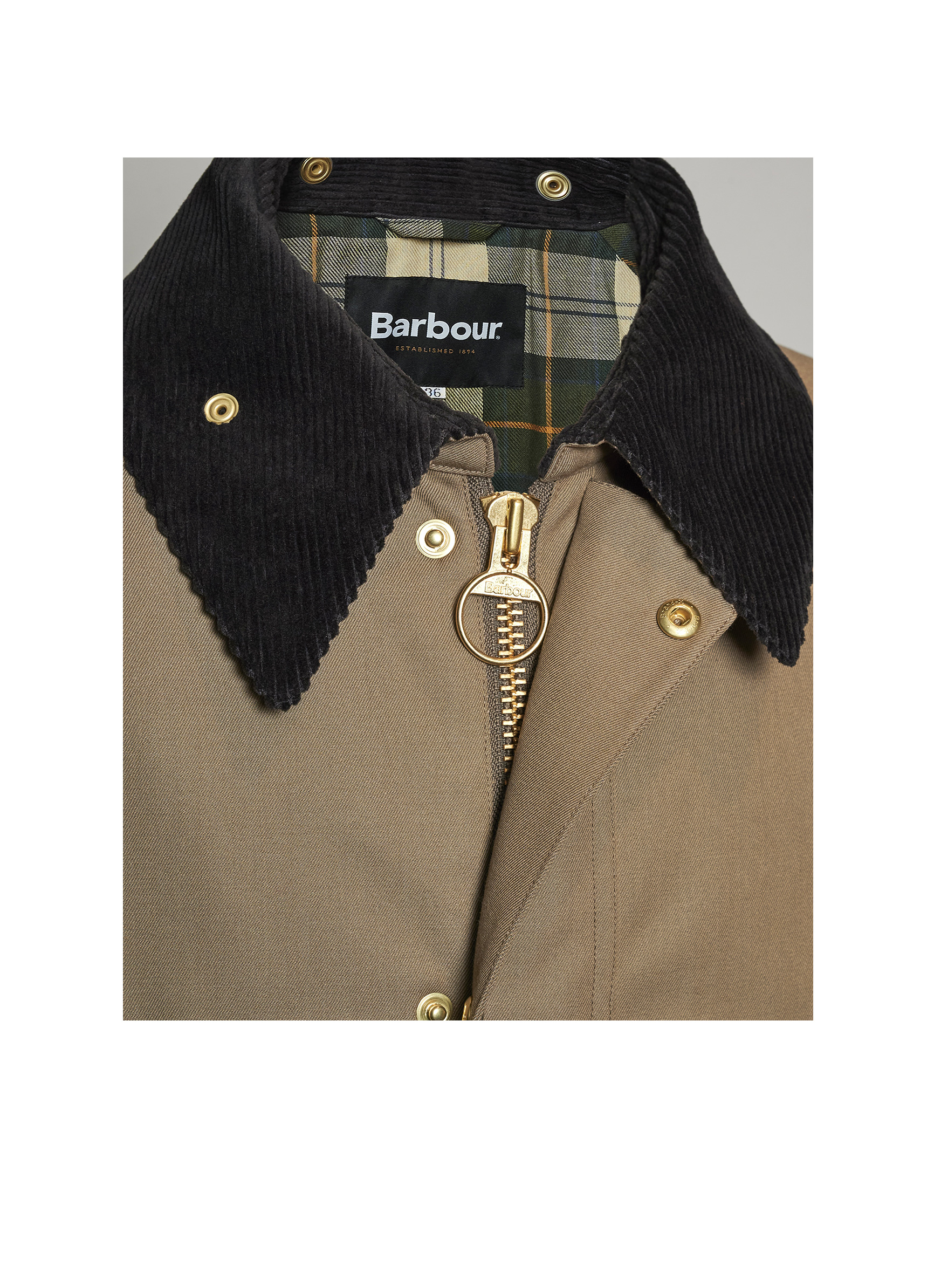 BARBOUR