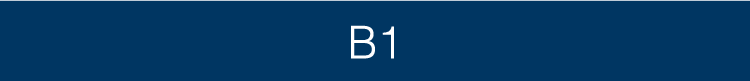 B1
