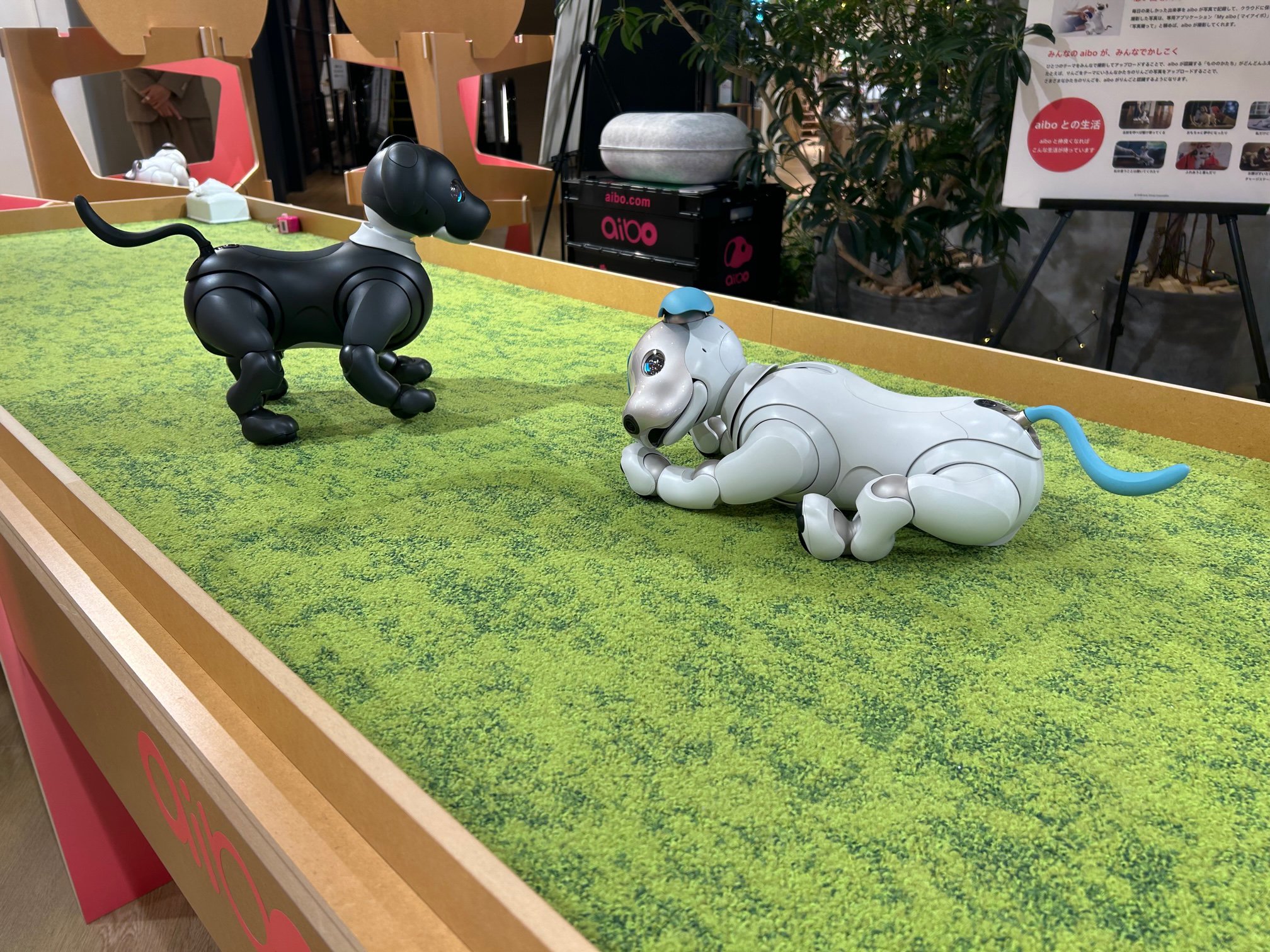 ◎5階イベントテラス◎「SLOW LIVING with aibo Vol.2」|阪神百貨店