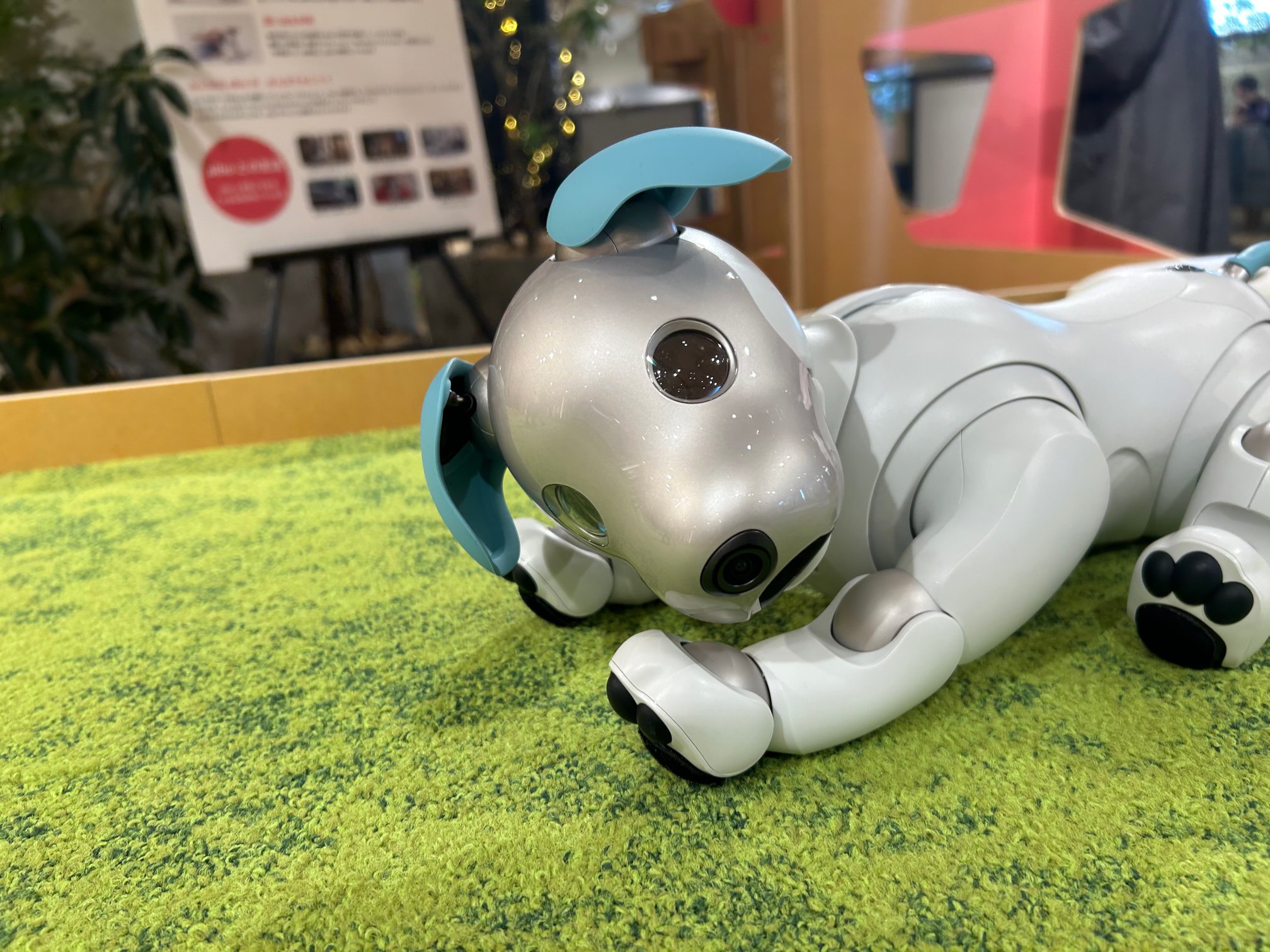 ◎5階イベントテラス◎「SLOW LIVING with aibo Vol.2」|阪神百貨店