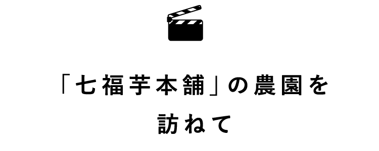 「七福芋本舗」の農園を訪ねて