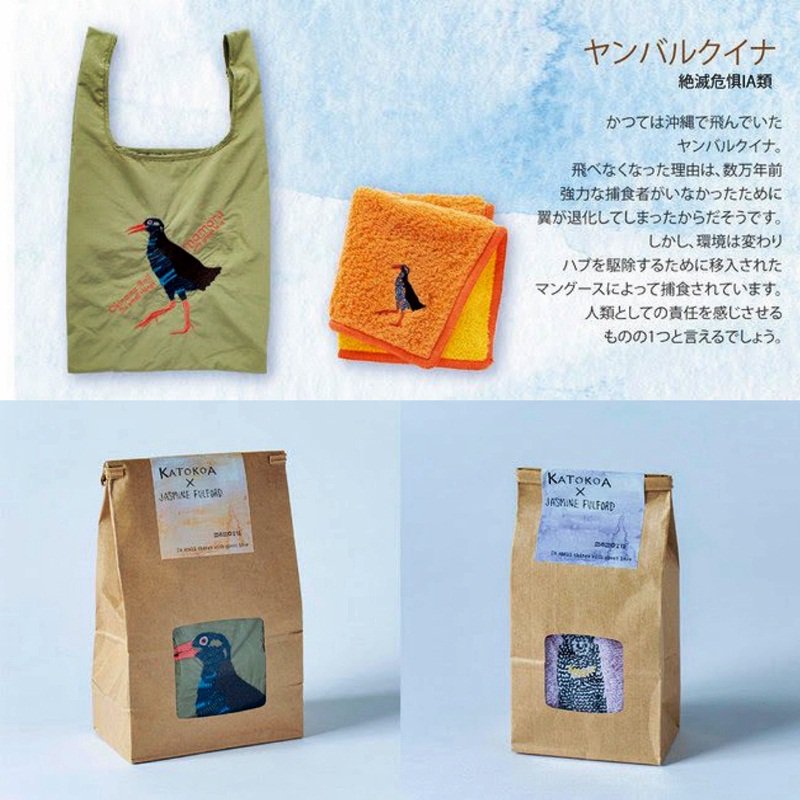 KATOKOA×JASMINE FULFORD 未来のために、今できることを。｜阪神