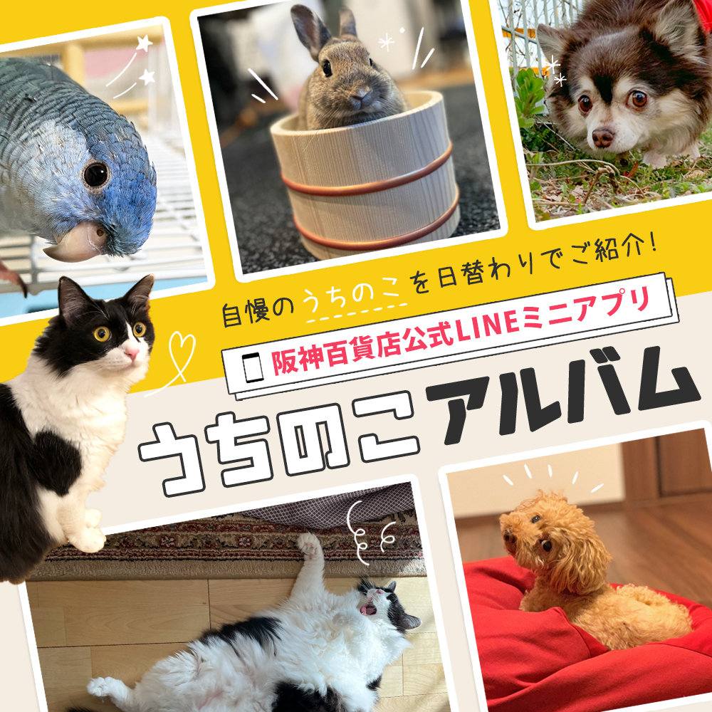 『うちのこアルバム』