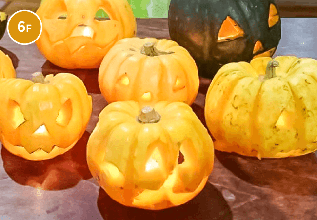 兵庫県の収穫祭<br>かぼちゃでハロウィンパーティー！