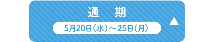 通期