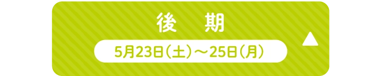 後期