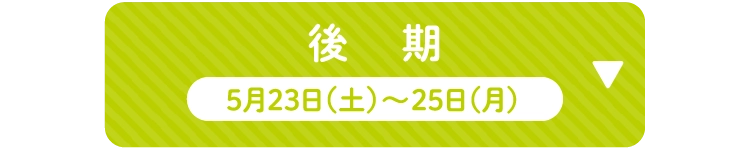 後期