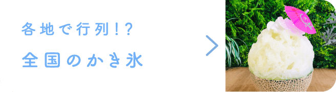 各地で行列！？全国のかき氷