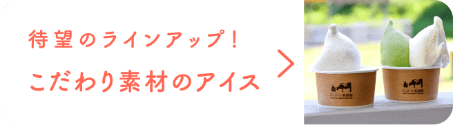 待望のラインアップ！こだわり素材のアイス