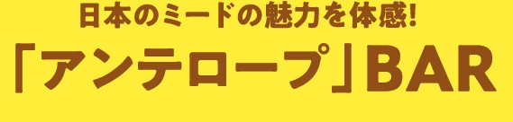 「アンテロープ」BAR