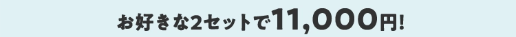 お好きな2セットで11,000円！