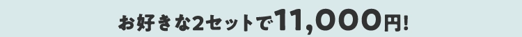 お好きな2セットで11,000円!