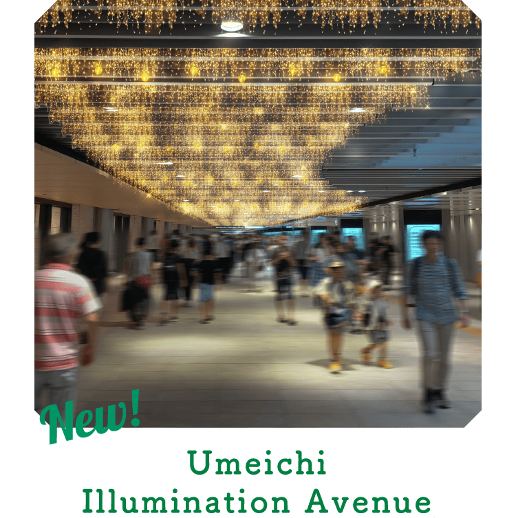 Umeichi Illumination Avenue