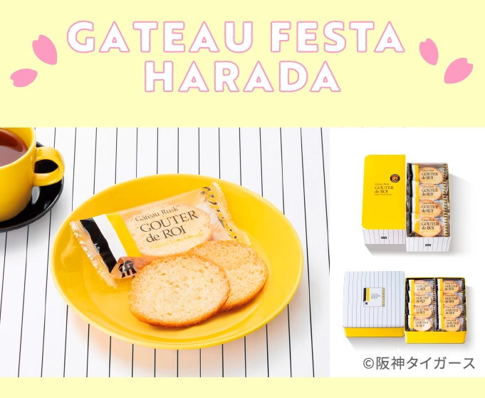 GATEAU FESTA 
                                    HARADA