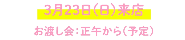 3月23日（日）来店