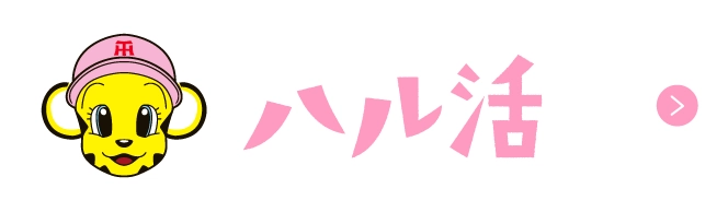 ハル活