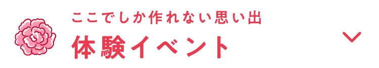 体験イベント