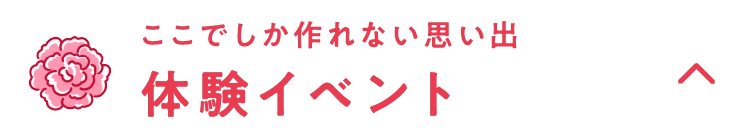 体験イベント