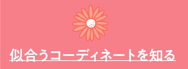 似合うコーディネートを知る