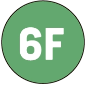 6F