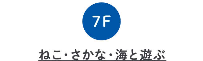 ねこ・さかな・海と遊ぶ
