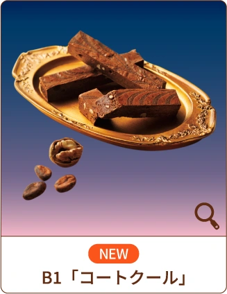 NEW B1「コートクール」
