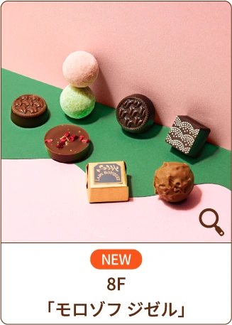 NEW 8F「モロゾフ ジゼル」