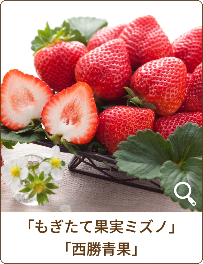 「もぎたて果実ミズノ」「西勝青果」