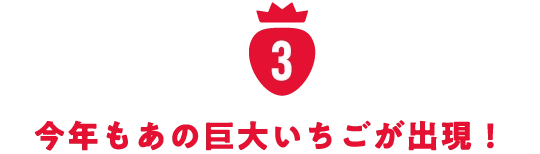 今年もあの巨大いちごが出現！