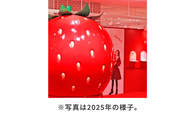 ※写真は2025年の様子。