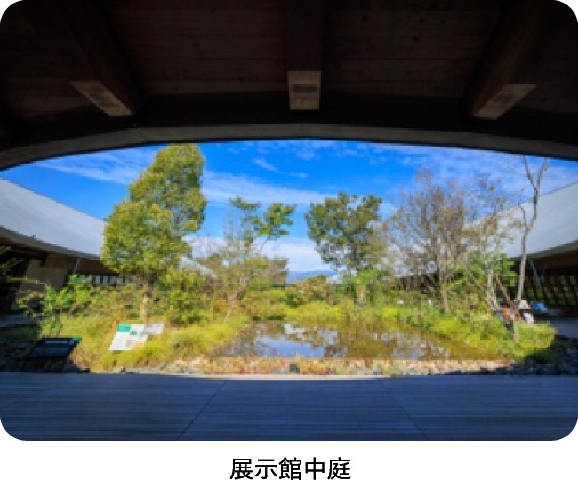 展示館中庭