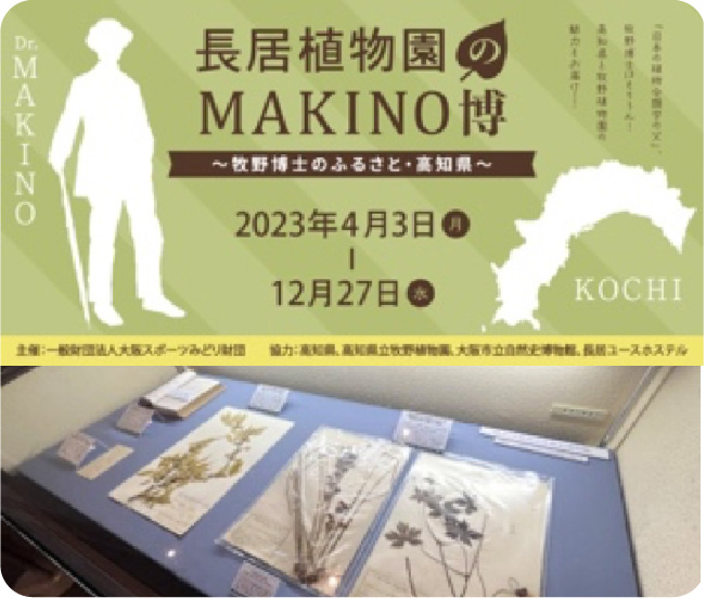 長野植物園のMAKINO博 〜牧野博士のふるさと・高知県〜 2023年4月3日月 12月27日(水)