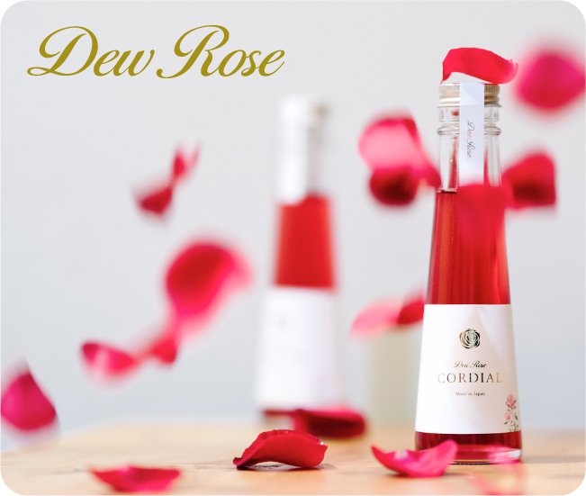Dew Rose