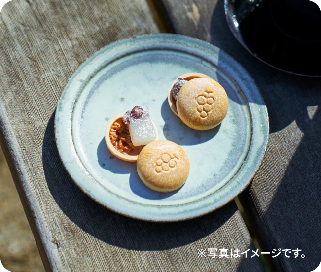 ※写真はイメージです。