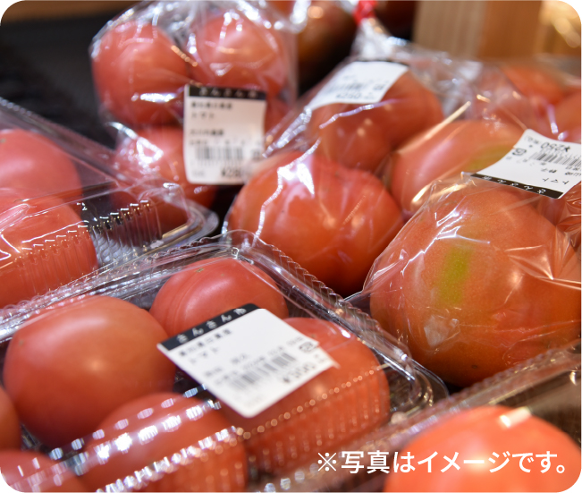 ※写真はイメージです。