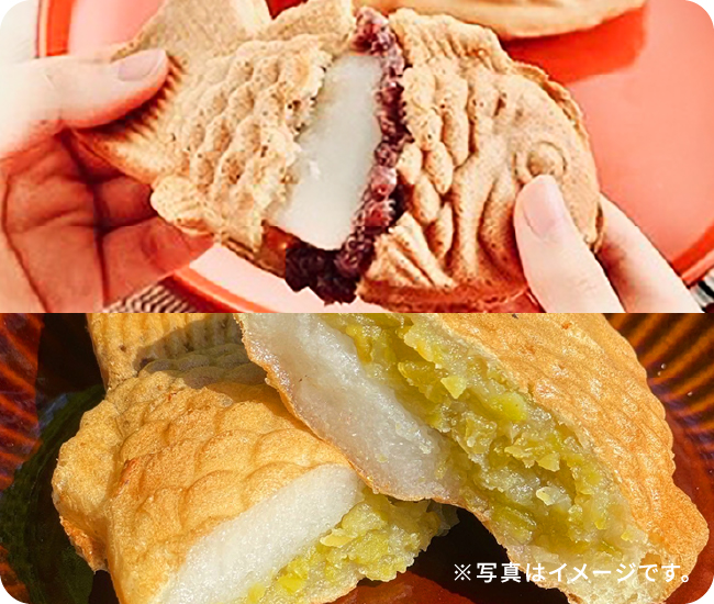 ※写真はイメージです。