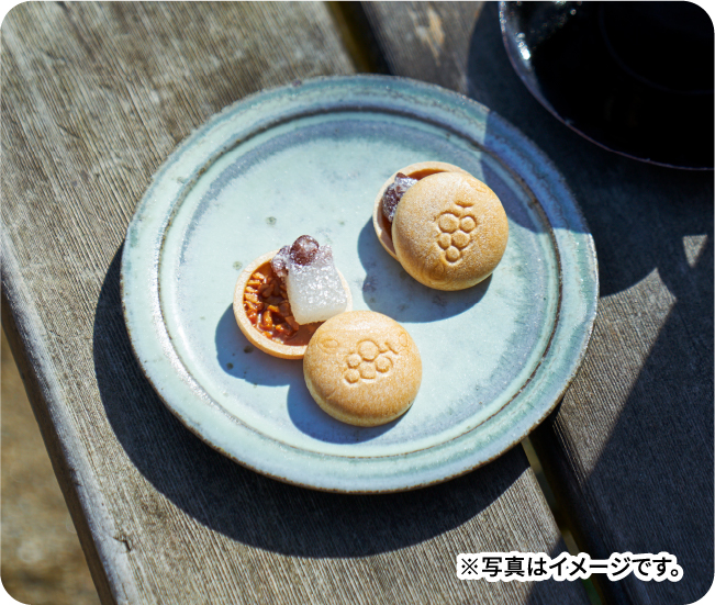 ※写真はイメージです。