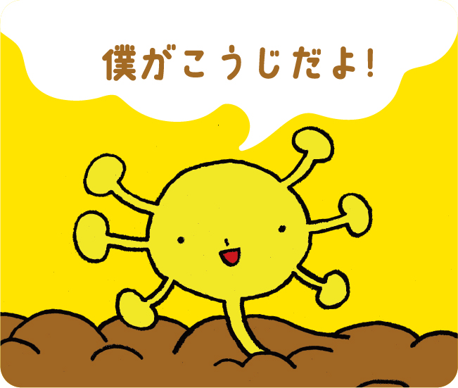 僕がこうじだよ!