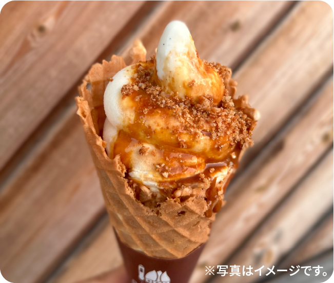 ※写真はイメージです。